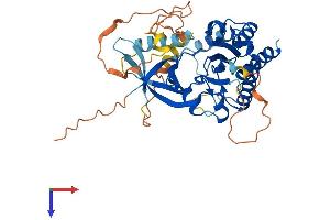 AlphaFold protein structure predicition of Human Recombinant IP6K3 Protein, UniprotID Q96PC2