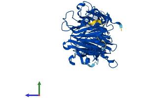 AlphaFold protein structure predicition of Human Recombinant HGD Protein, UniprotID Q93099