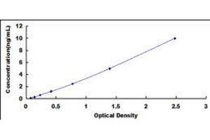 ELISA image for Monoacylglycerol O-Acyltransferase 2 (MOGAT2) ELISA Kit (ABIN423247)