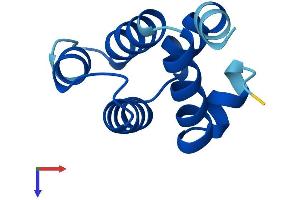 AlphaFold protein structure predicition of Human Recombinant CARD18 Protein, UniprotID P57730