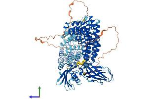 AlphaFold protein structure predicition of Mouse Recombinant Ap1b1 Protein, UniprotID O35643