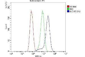 Flow Cytometry analysis of U20S cells using anti-Aromatase antibody (ABIN6719449).