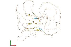 AlphaFold protein structure predicition of Human Recombinant MAMLD1 Protein, UniprotID Q13495