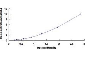 Typical standard curve (Lamin B2 Kit ELISA)