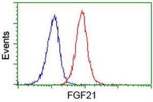 Flow cytometric Analysis of Jurkat cells, using anti-FGF21 antibody (ABIN2454511), (Red), compared to a nonspecific negative control antibody, (Blue). (FGF21 anticorps  (AA 29-209))