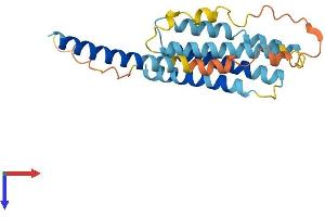 AlphaFold protein structure predicition of Mouse Recombinant Tmem98 Protein, UniprotID Q91X86