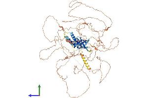 AlphaFold protein structure predicition of Mouse Recombinant Ddias Protein, UniprotID Q6NZG4
