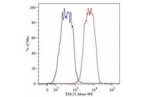 Flow Cytometry (FACS) image for anti-Catenin (Cadherin-Associated Protein), beta 1, 88kDa (CTNNB1) antibody (ABIN614788) (CTNNB1 anticorps)
