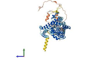 AlphaFold protein structure predicition of Mouse Recombinant Slc1a7 Protein, UniprotID Q8JZR4