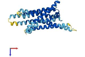 AlphaFold protein structure predicition of Human Recombinant TAS2R13 Protein, UniprotID Q9NYV9