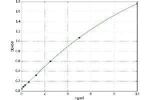Luteinizing Hormone/Choriogonadotropin Receptor (LHCGR) ELISA Kit