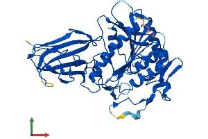 AlphaFold protein structure predicition of Mouse Recombinant Acot6 Protein, UniprotID Q32Q92