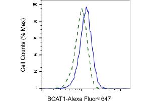 Validation of BCAT1 knockdown using flow cytometry.