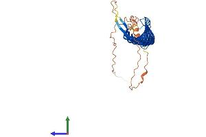 AlphaFold protein structure predicition of Human Recombinant RSPH1 Protein, UniprotID Q8WYR4