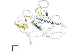 AlphaFold protein structure predicition of Mouse Recombinant Rnf169 Protein, UniprotID E9Q7F2