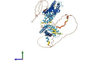 AlphaFold protein structure predicition of Mouse Recombinant Kcnc2 Protein, UniprotID Q14B80