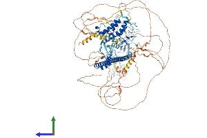 AlphaFold protein structure predicition of Mouse Recombinant Trim24 Protein, UniprotID Q64127