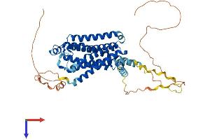 Adrenergic, beta-1-, Receptor (ADRB1) (AA 1-466) protein (His tag)