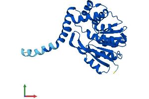 AlphaFold protein structure predicition of Mouse Recombinant Tomt Protein, UniprotID A1Y9I9
