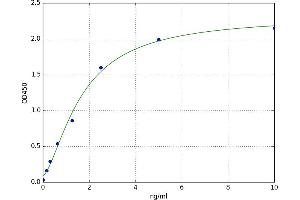 Pituitary Tumor-Transforming 1 Interacting Protein (PTTG1IP) ELISA Kit