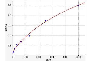 Typical standard curve (SELENBP1 Kit ELISA)