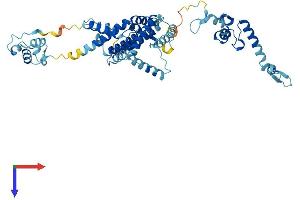 AlphaFold protein structure predicition of Mouse Recombinant Sf3a3 Protein, UniprotID Q9D554