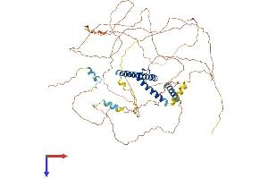 AlphaFold protein structure predicition of Mouse Recombinant Tcf3 Protein, UniprotID P15806