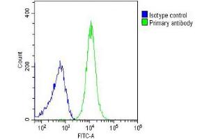 Overlay histogram showing WiDr cells stained with (ABIN652752 and ABIN2842496) (green line).