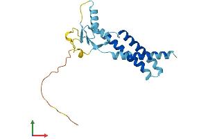 AlphaFold protein structure predicition of Human Recombinant TMEM11 Protein, UniprotID P17152
