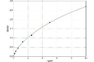 Phosphoinositide-3-Kinase, Catalytic, alpha Polypeptide (PIK3CA) ELISA Kit