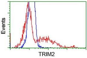 HEK293T cells transfected with either RC203947 overexpress plasmid (Red) or empty vector control plasmid (Blue) were immunostained by anti-TRIM2 antibody (ABIN2454057), and then analyzed by flow cytometry. (TRIM2 anticorps  (AA 1-100, AA 645-744))