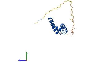 AlphaFold protein structure predicition of Human Recombinant NHLH2 Protein, UniprotID Q02577