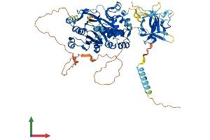 AlphaFold protein structure predicition of Human Recombinant GALNT15 Protein, UniprotID Q8N3T1