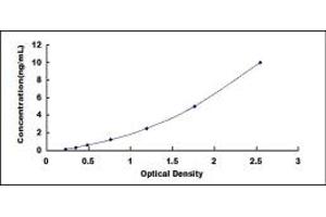 Typical standard curve (CNPY2/MSAP Kit ELISA)
