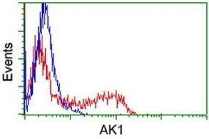 Flow Cytometry (FACS) image for anti-Adenylate Kinase 1 (AK1) antibody (ABIN1496516) (Adenylate Kinase 1 anticorps)