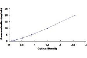 Typical standard curve (HDAC9 Kit ELISA)