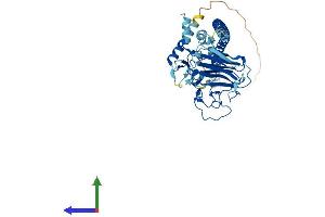AlphaFold protein structure predicition of Human Recombinant TRIML1 Protein, UniprotID Q8N9V2