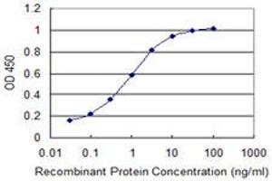 Detection limit for recombinant GST tagged SRGAP1 is 0.