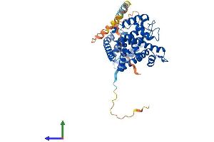 AlphaFold protein structure predicition of Mouse Recombinant Ficd Protein, UniprotID Q8BIX9