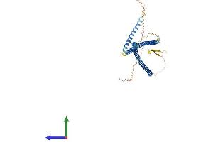 AlphaFold protein structure predicition of Mouse Recombinant Krt23 Protein, UniprotID Q99PS0