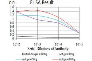 Black line: Control Antigen (100 ng);Purple line: Antigen (10ng); Blue line: Antigen (50 ng); Red line:Antigen (100 ng)