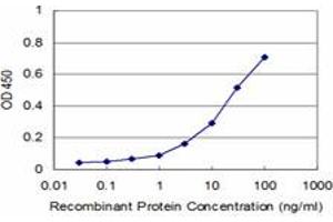 Detection limit for recombinant GST tagged BPNT1 is approximately 1ng/ml as a capture antibody. (BPNT1 anticorps  (AA 1-100))