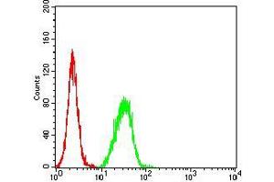 Flow cytometric analysis of Hela cells using SAG2 mouse mAb (green) and negative control (red). (Surface Antigen 2B anticorps  (AA 1-130))