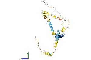 AlphaFold protein structure predicition of Human Recombinant TPD52L1 Protein, UniprotID Q16890