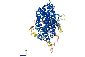 AlphaFold protein structure predicition of Human Recombinant SESN2 Protein, UniprotID P58004