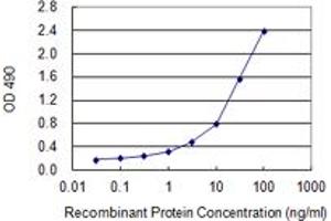 Sandwich ELISA detection sensitivity ranging from 0. (PPP3R2 (Humain) Matched Antibody Pair)