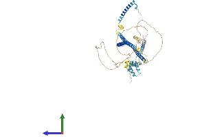 AlphaFold protein structure predicition of Human Recombinant RAB11FIP4 Protein, UniprotID Q86YS3