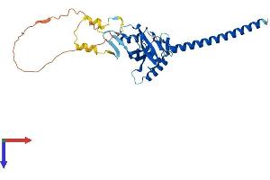 AlphaFold protein structure predicition of Human Recombinant RASSF4 Protein, UniprotID Q9H2L5