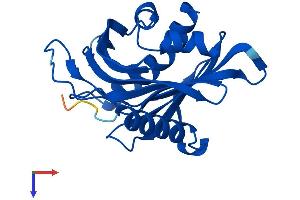 AlphaFold protein structure predicition of Human Recombinant STARD4 Protein, UniprotID Q96DR4