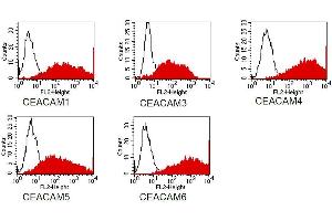 FACS analysis of BOSC23 cells using D14HD11. (CD66acde anticorps)